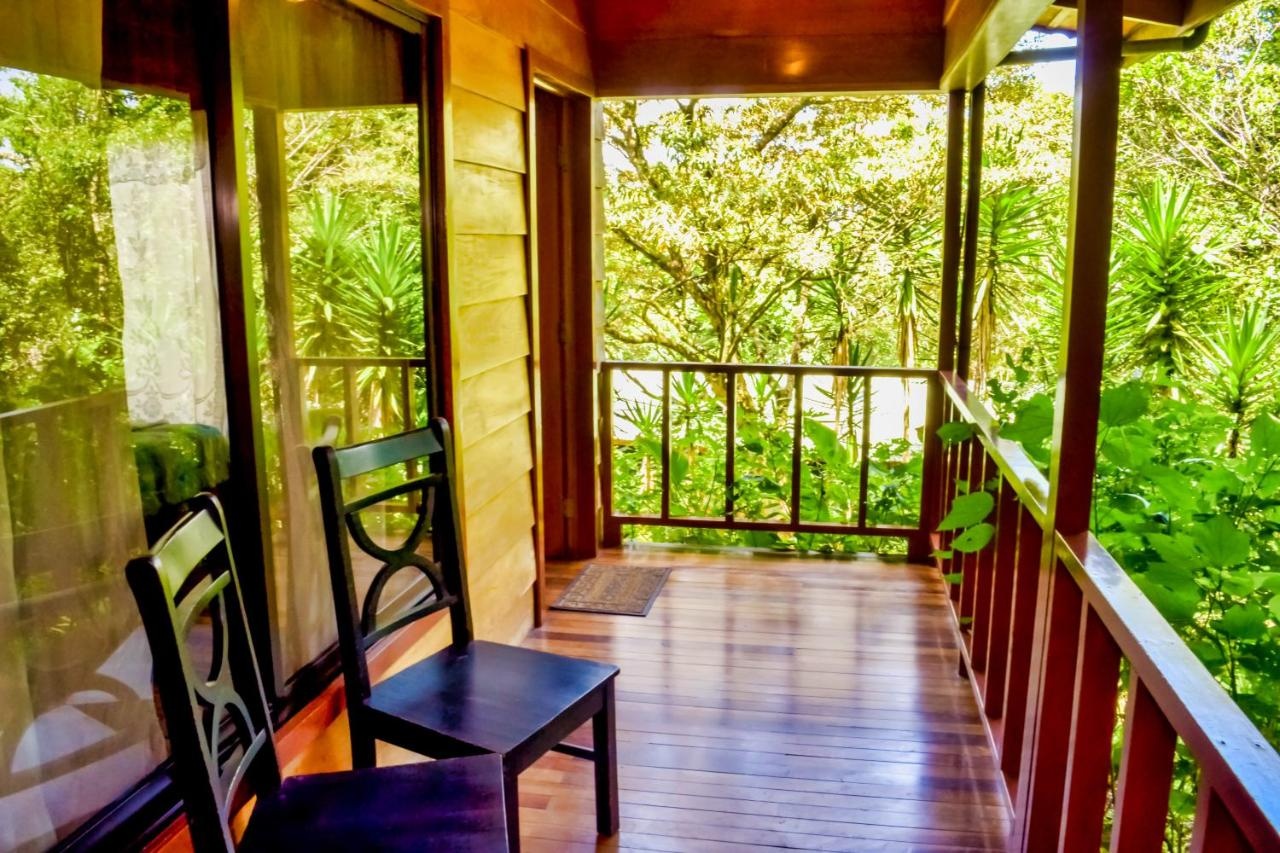 Foto - Jaguarundi Lodge