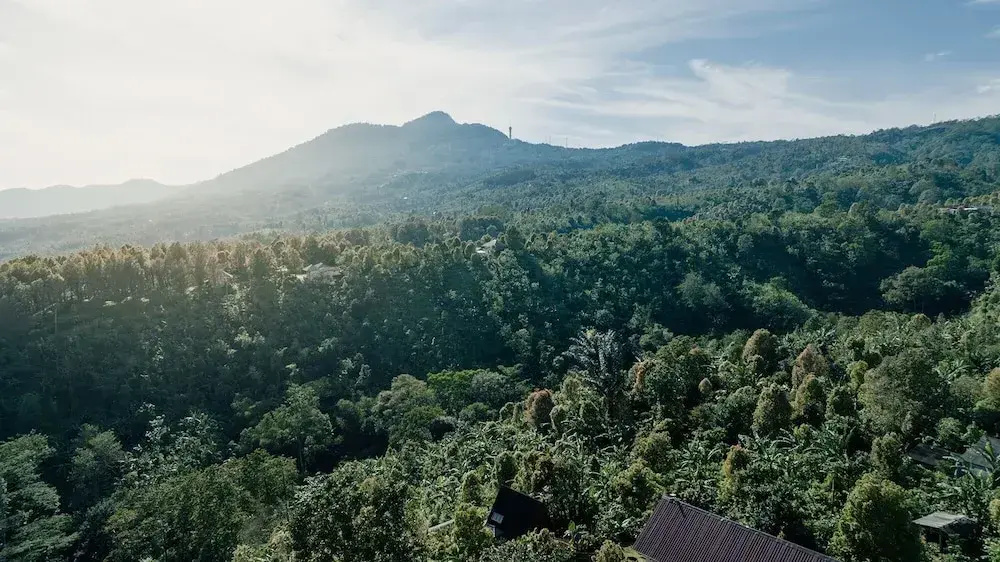 Foto - Villa Kayu Amertha