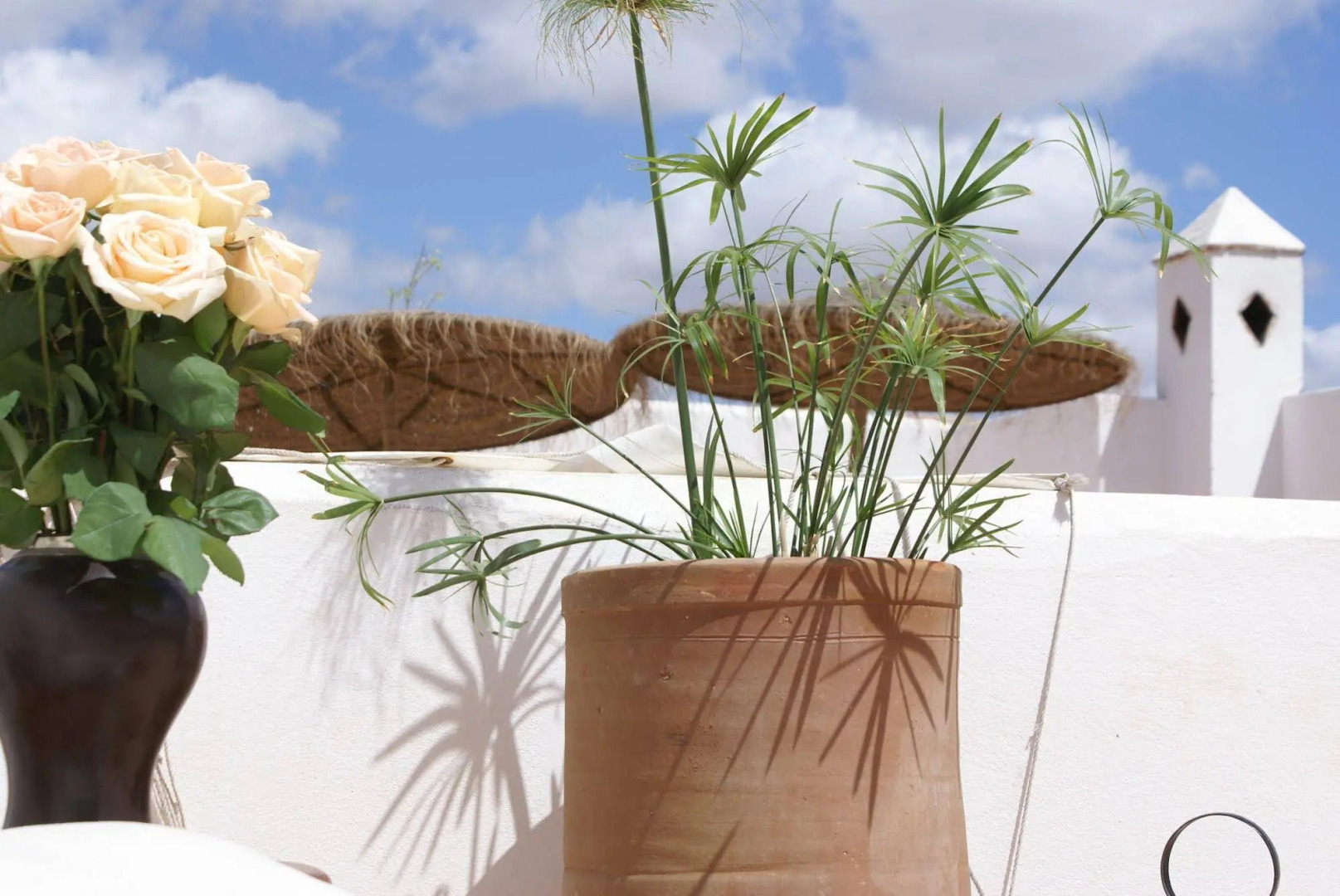 Photo - Riad Les Orangers D'alilia