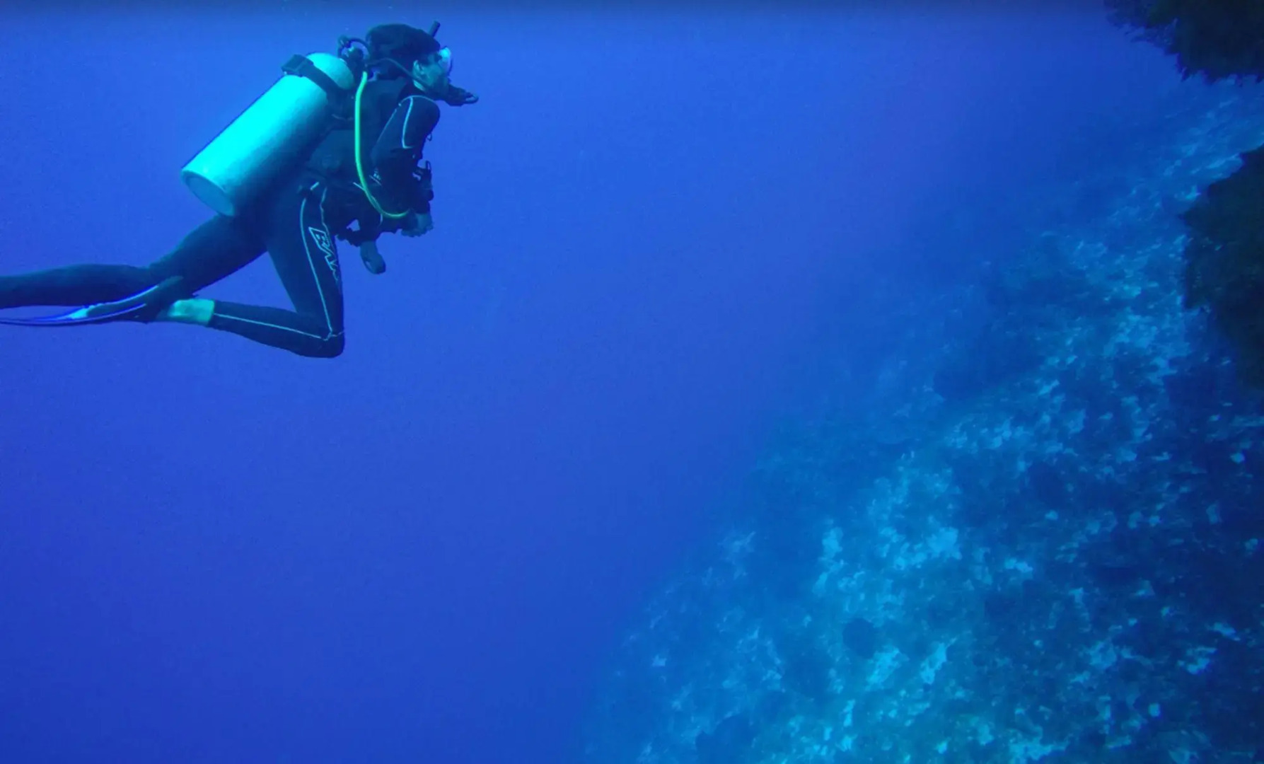 Foto - El Cozumeleño Beach Resort - All Inclusive