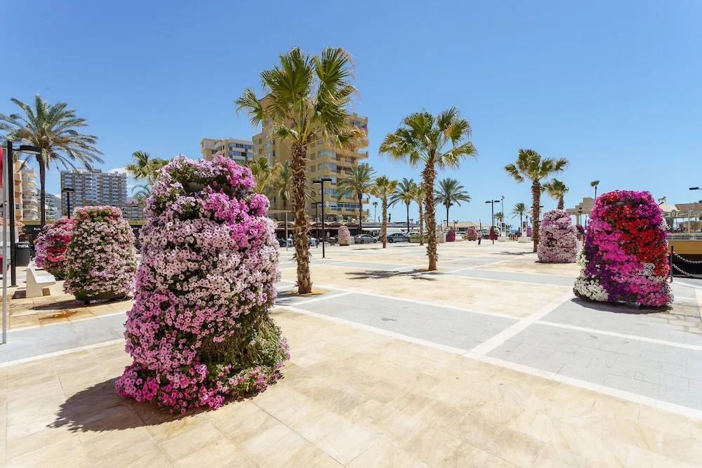 Foto - Hostal Costabella powered by Faro Homes