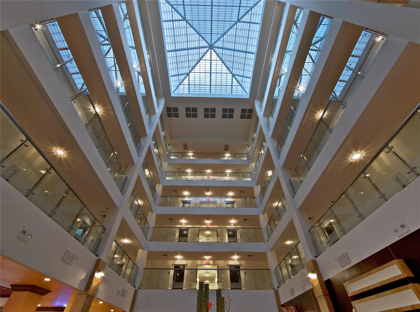 Foto - DoubleTree by Hilton Sarasota Bradenton Airport