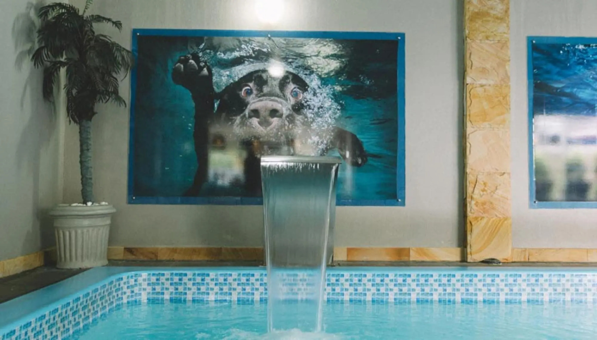 Foto - Sky Centro Hotel & SPA