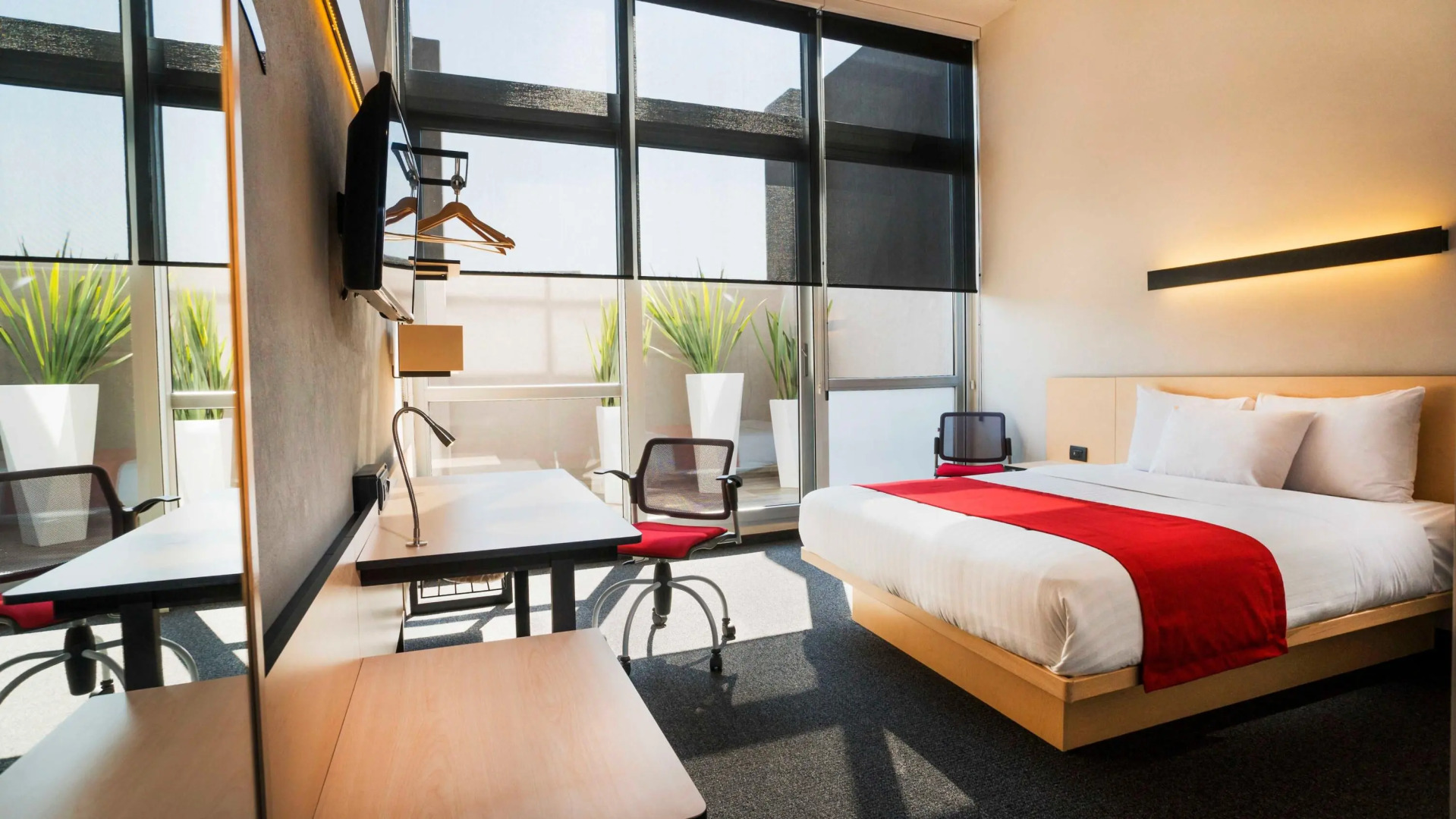 Foto - City Express Plus by Marriott Ciudad de México Patio Universidad