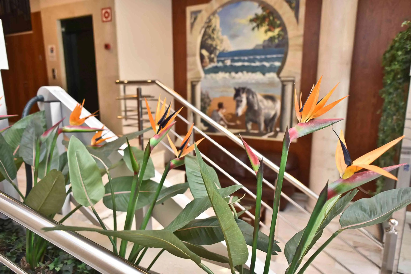 Foto - Hotel Adsubia