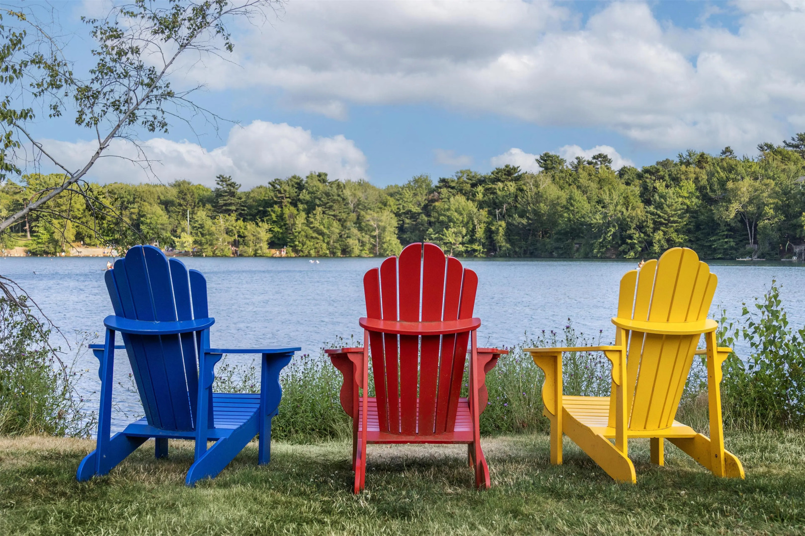Photo - Best Western Plus Chocolate Lake Hotel - Halifax