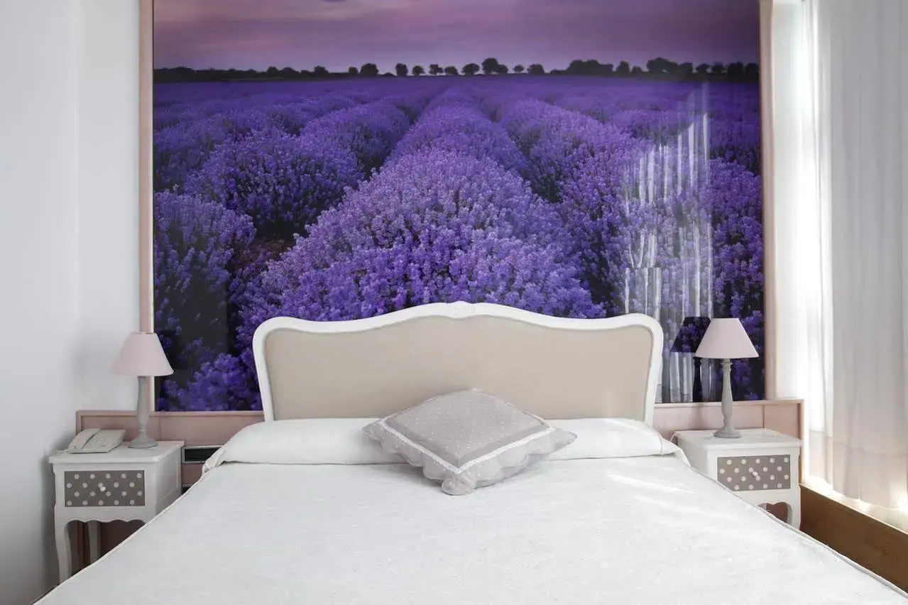Photo - Vilana Hotel Boutique