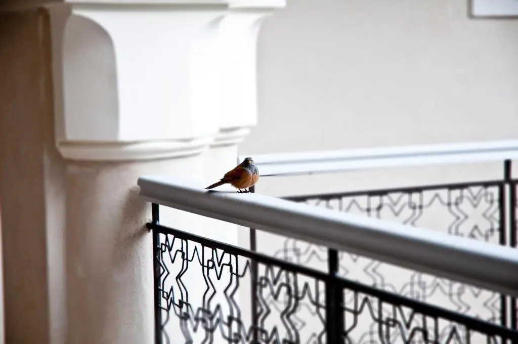 Photo - Riad Nashira & Spa