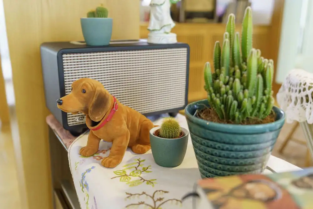 Foto - Tante ALMA's Bonner Hotel