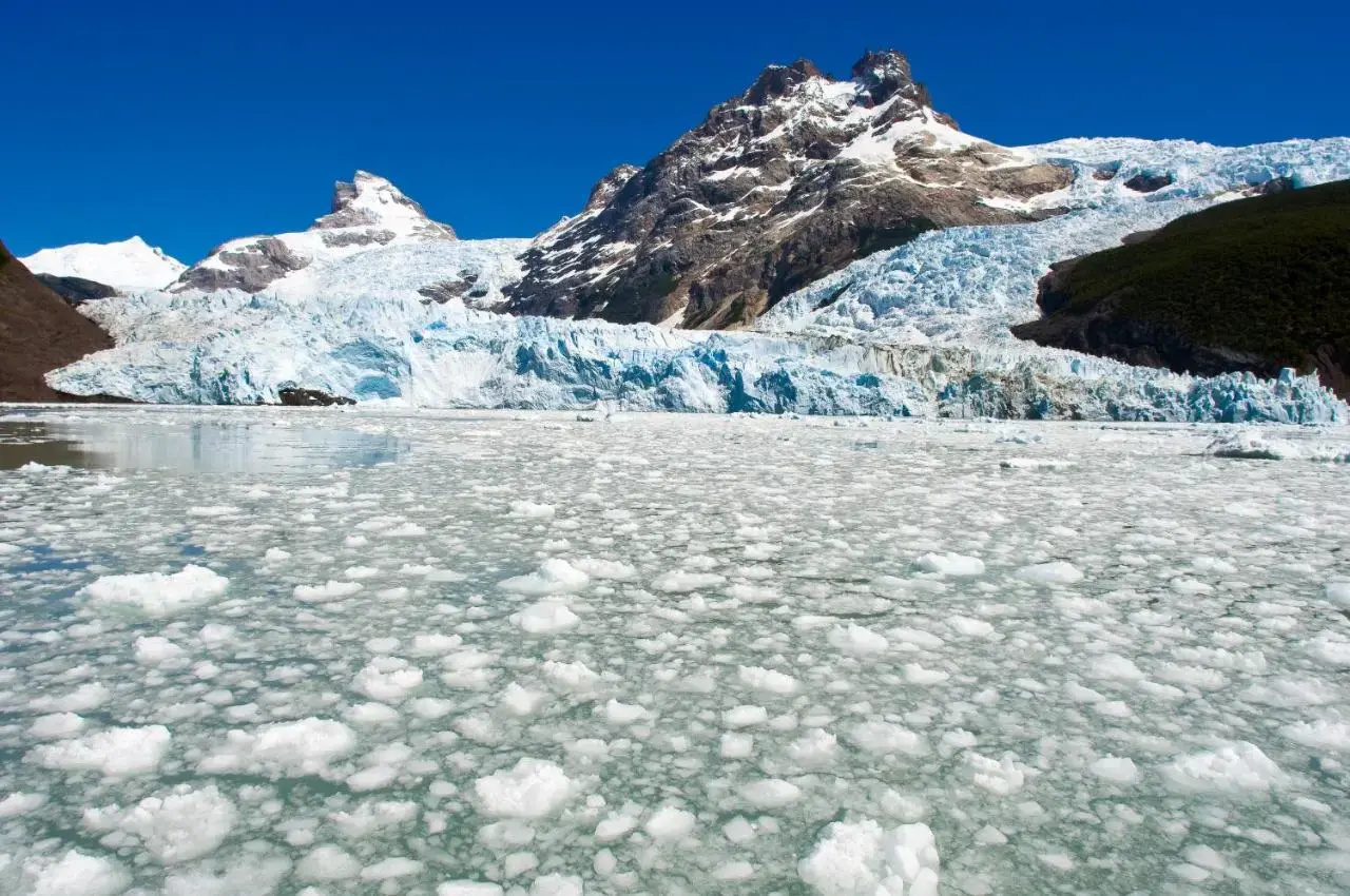 Foto - Sent Calafate