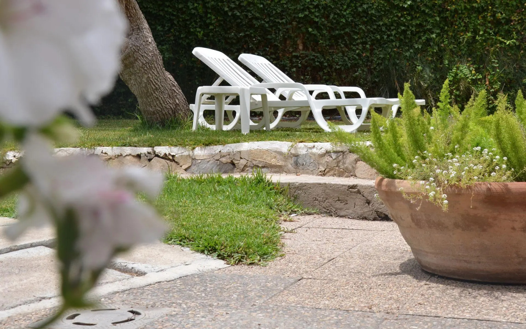 Photo - Hotel Vibra Marco Polo II - Adults only