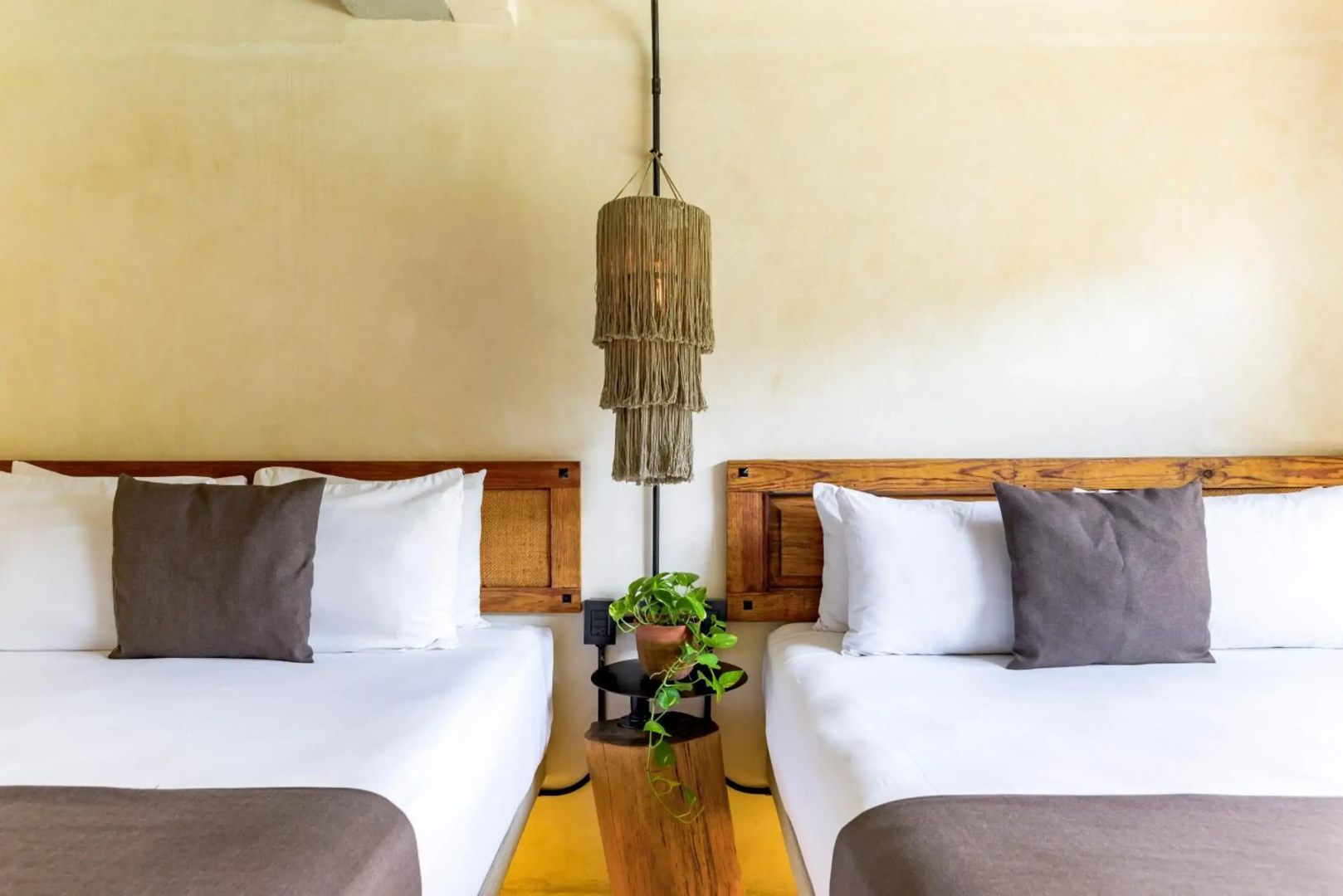 Foto - Caribbean Paradise Hotel & Spa - 5th Avenue