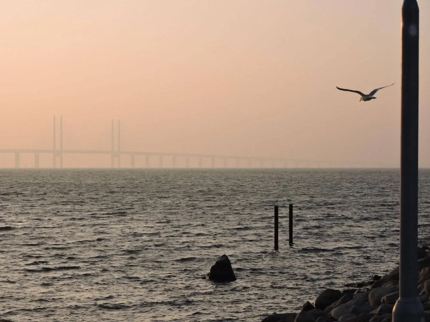 Photo - Havshotellet