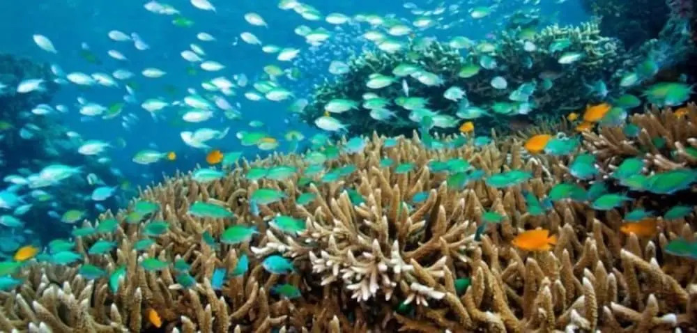 Foto - Dewantara Boutique Villa Resort Bali