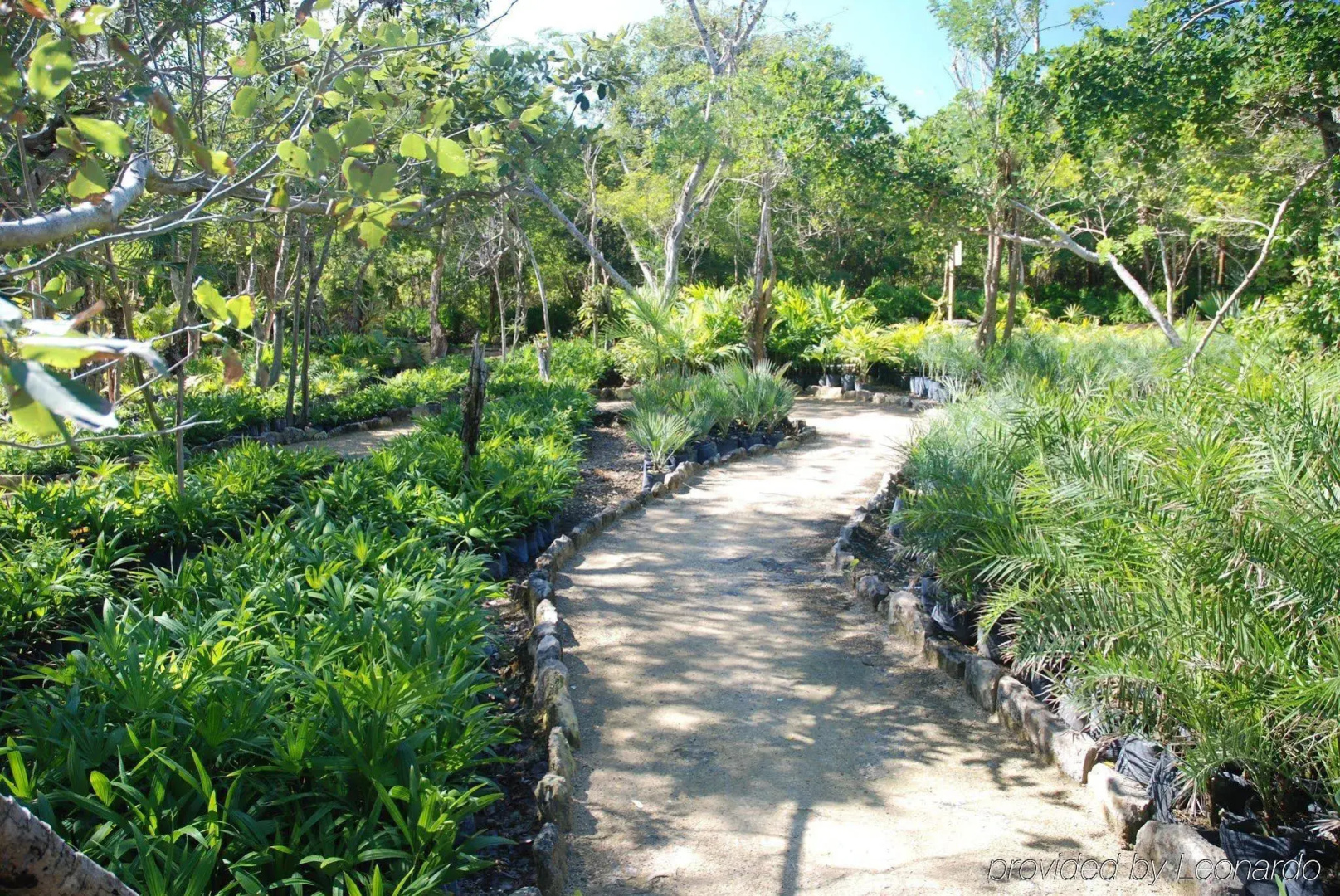 Foto - Hacienda Tres Rios Resort, Spa & Nature Park - All-Inclusive Resort