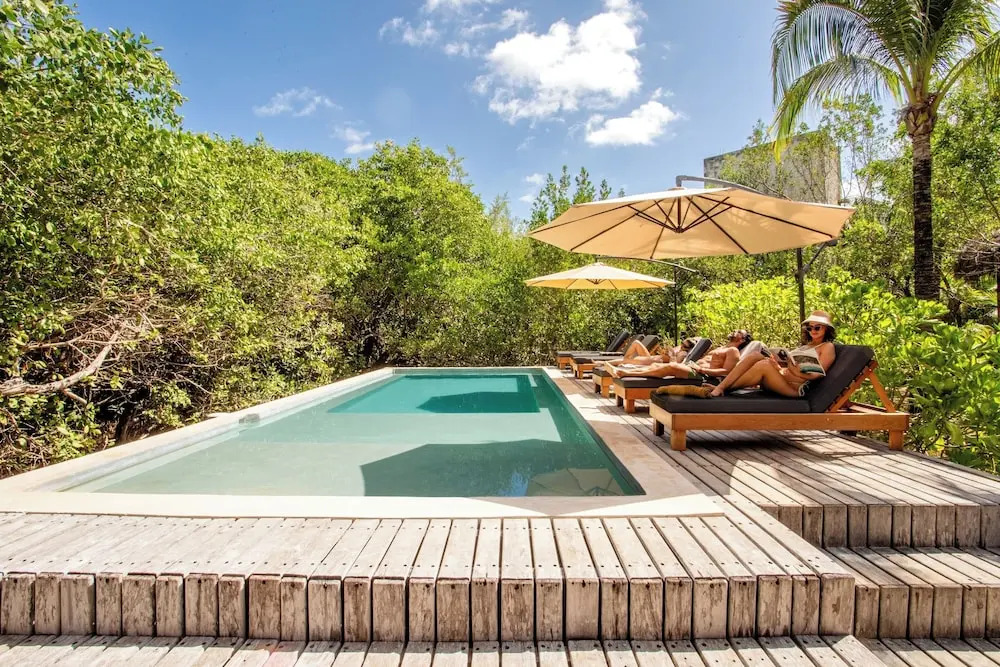 Foto - Vida Silvestre Tulum