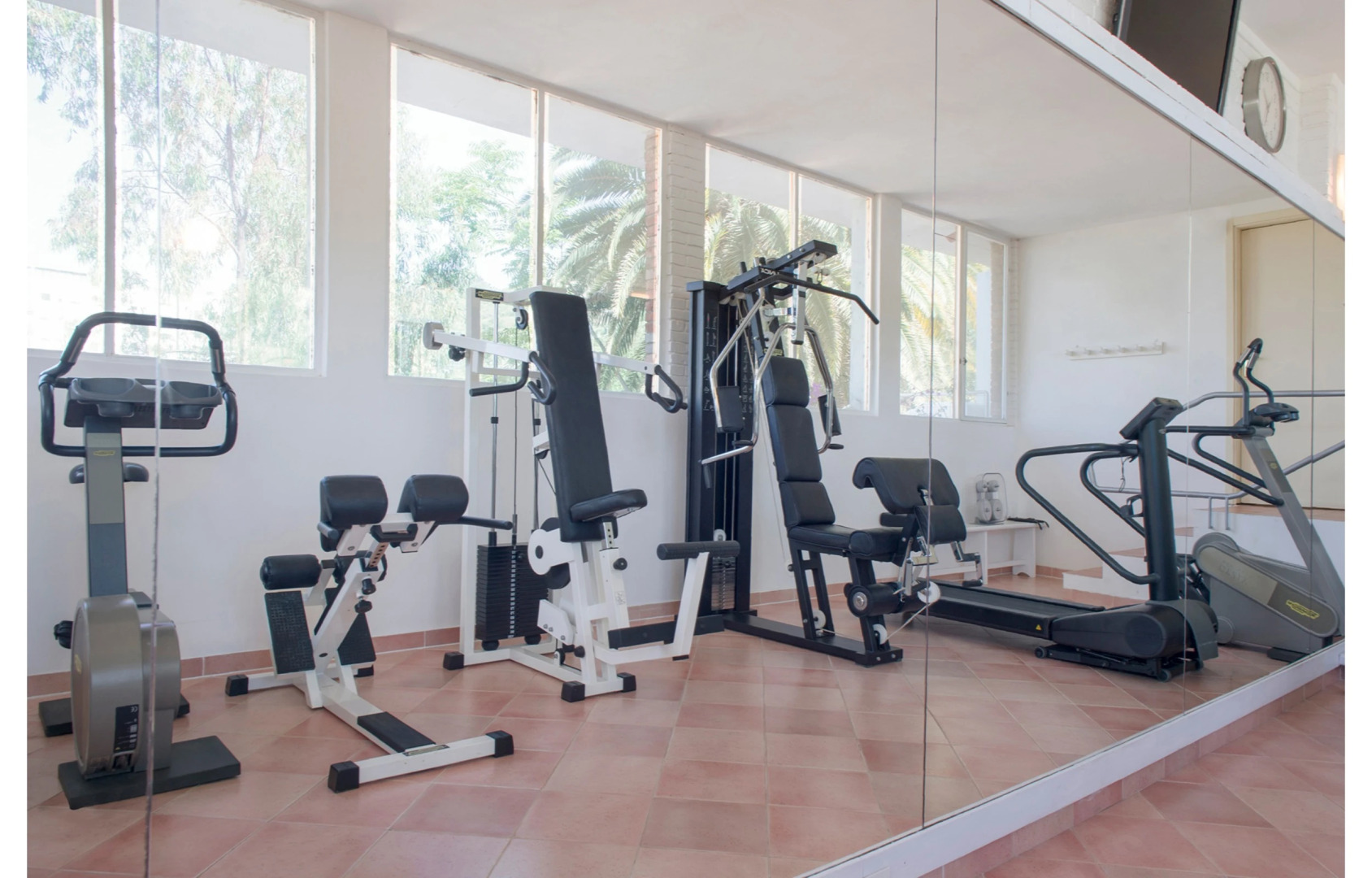 Foto - Alberi del Paradiso