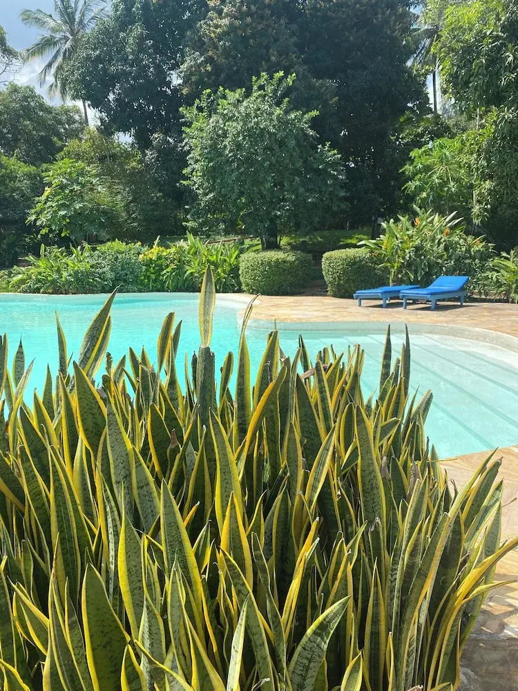 Foto - Mangrove Lodge