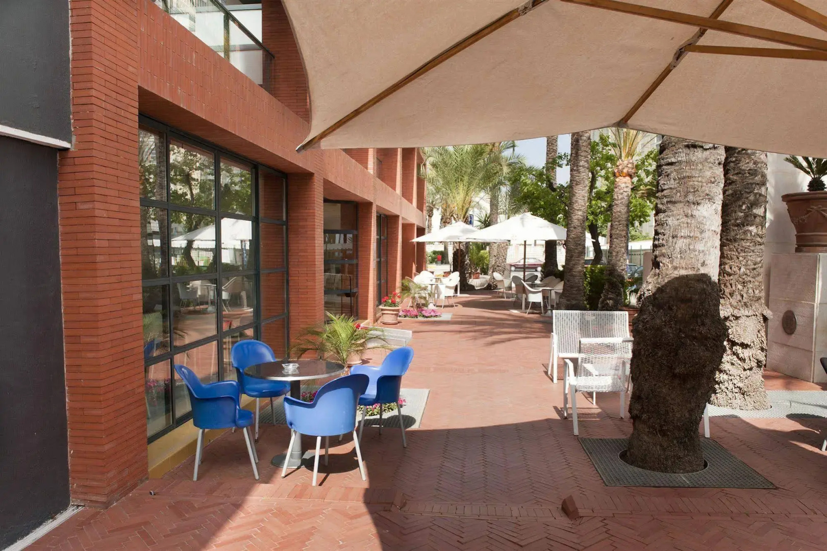 Foto - Hotel El Palmeral