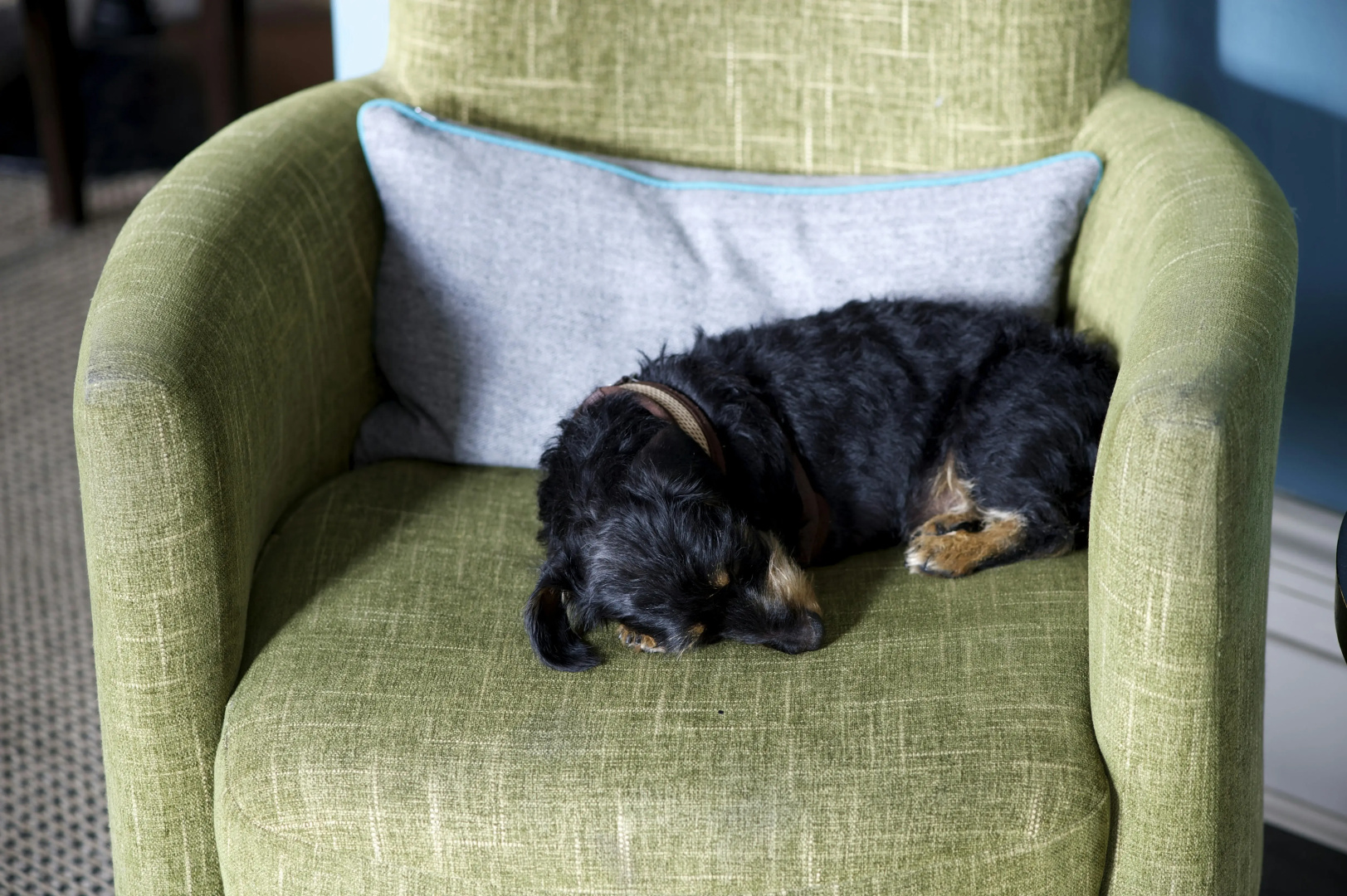 Foto - The Lodge Hotel - Putney