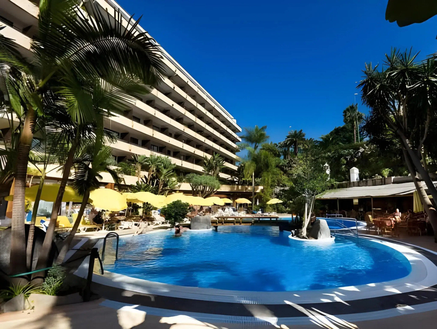 Photo - FERGUS Puerto de la Cruz