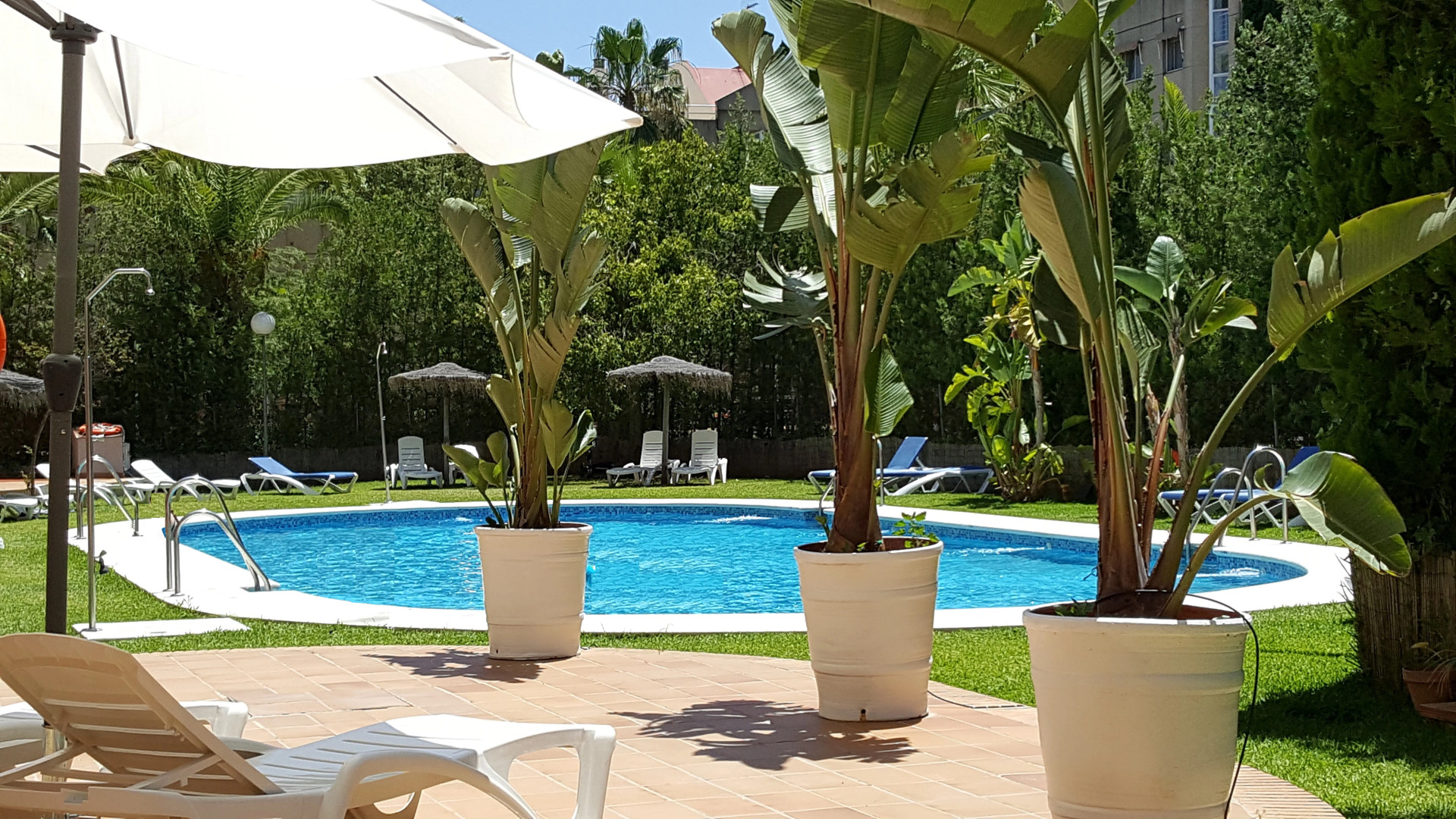 Foto - Hotel TRH La Motilla