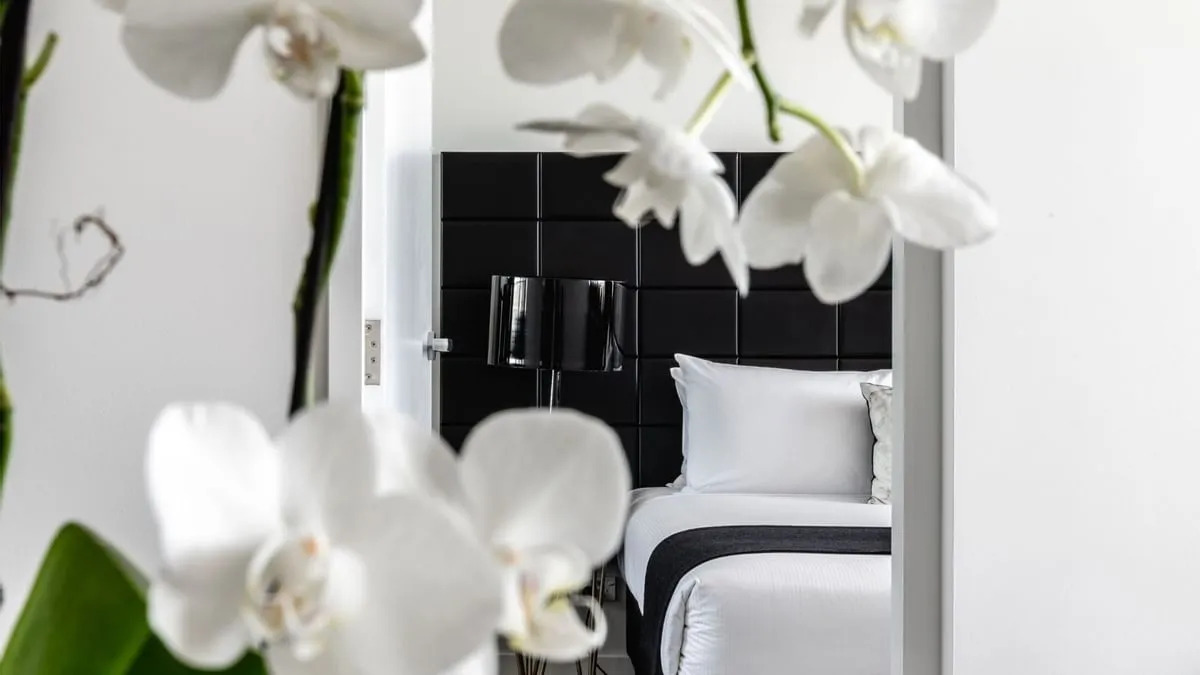 Photo - Silkari Suites at Chatswood