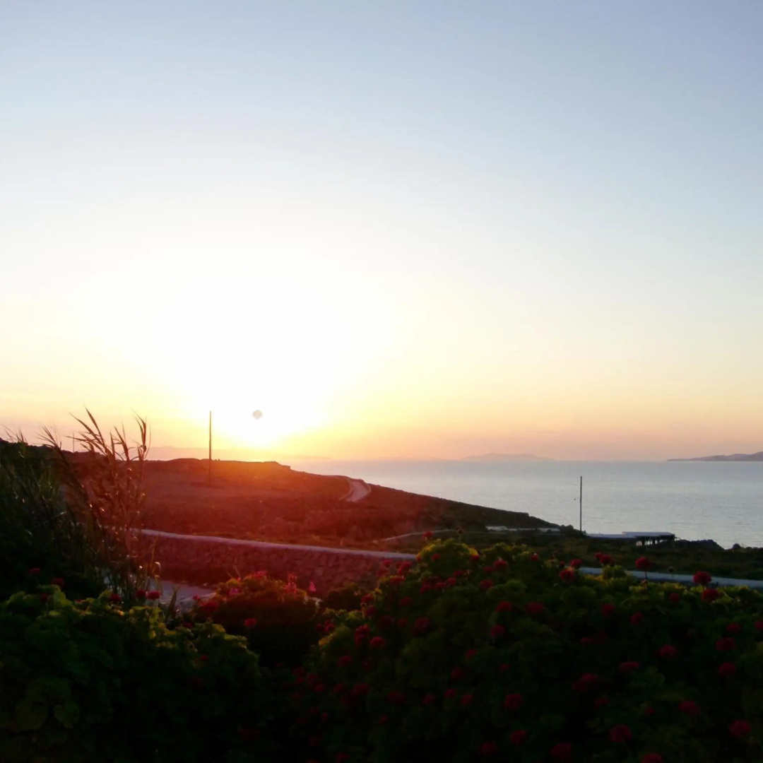 Foto - Panorama Hotel