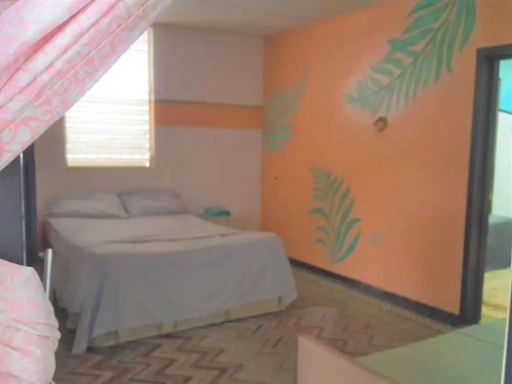 Medusa'S Hostel