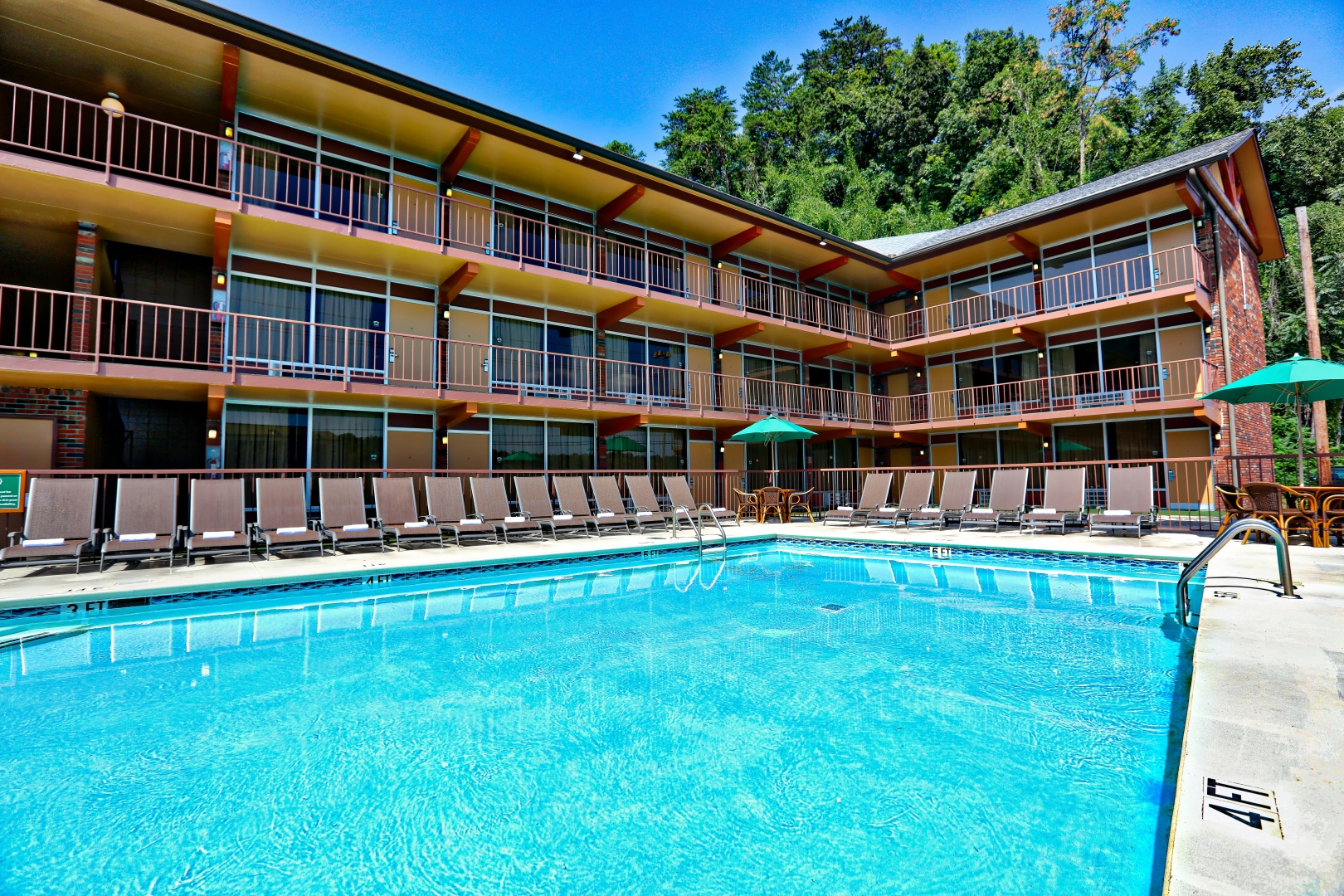 Foto - Wild Bear Inn