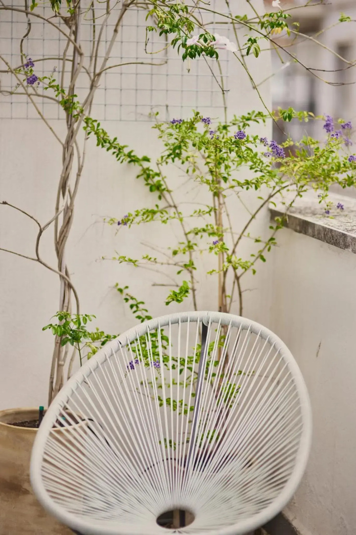 Foto - Reyes Católicos