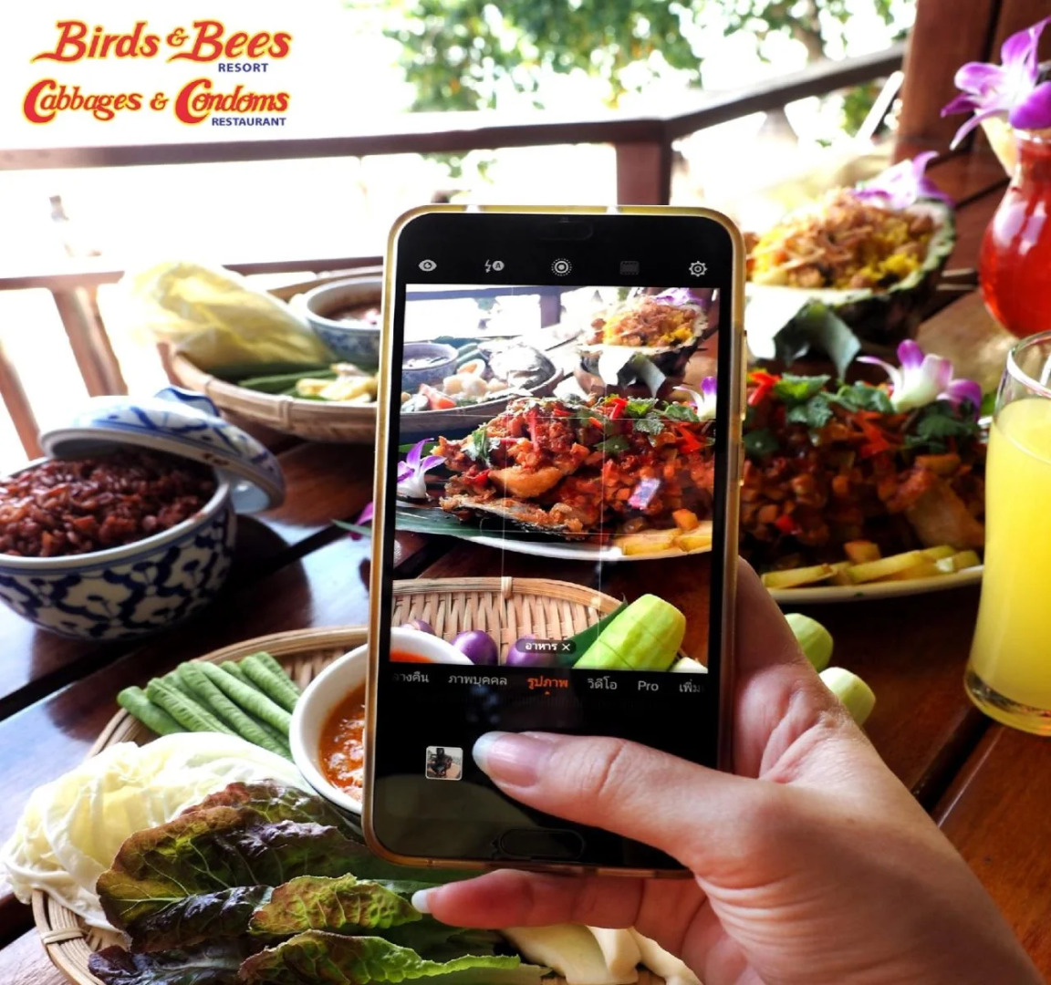 Foto - Birds and Bees Resort