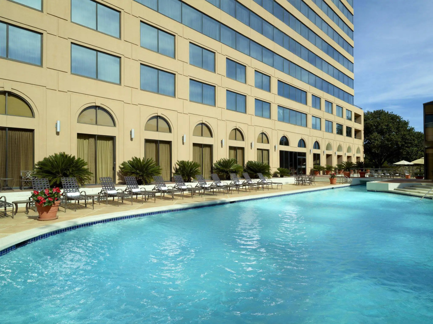 Foto - Austin Southpark Hotel