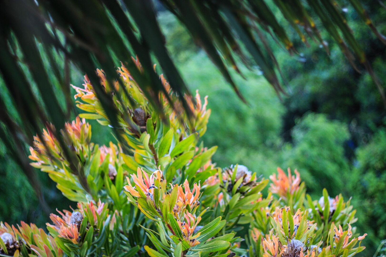 Photo - Ocean View House