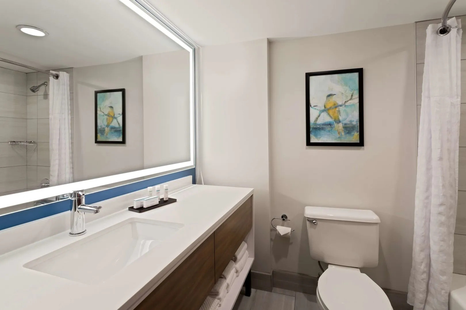 Foto - Embassy Suites by Hilton Tampa USF Near Busch Gardens