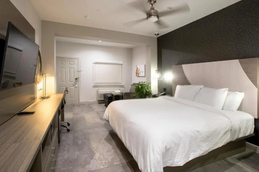 Foto - House Hotel