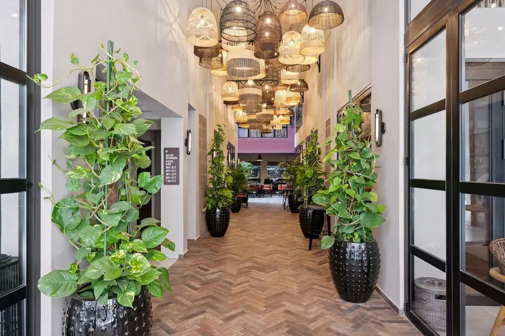 Photo - Anise Aluma Athens, Tapestry Collection by Hilton