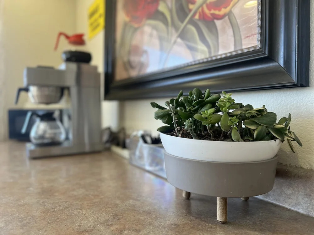 Foto - Days Inn by Wyndham Fresno South