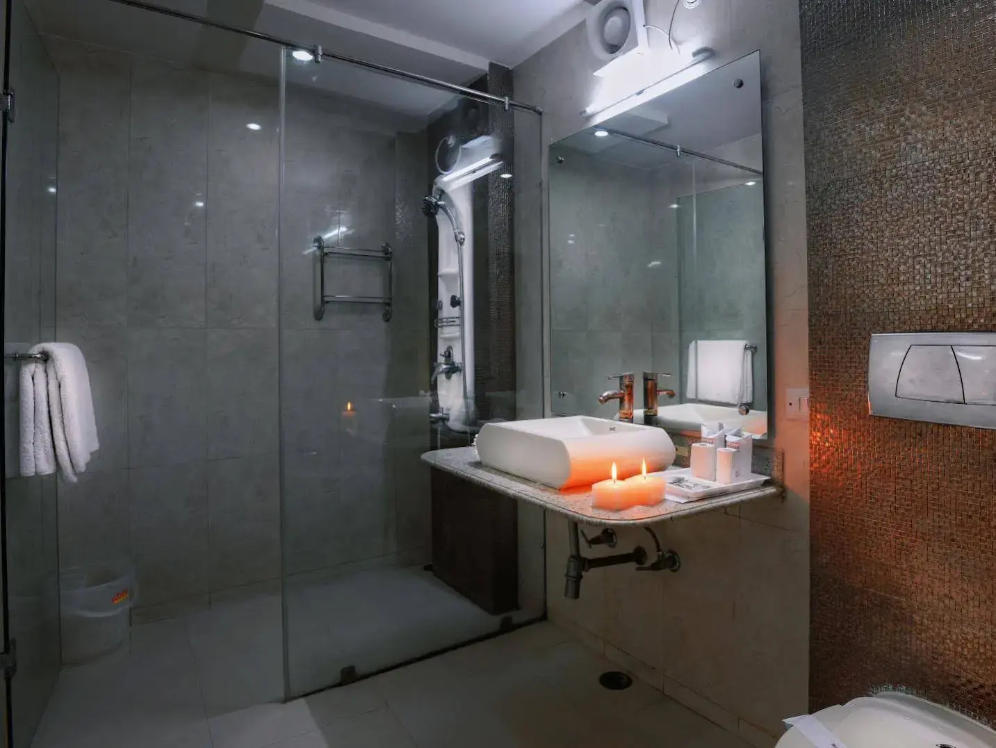 Photo - Royale Sarovar Portico Agra