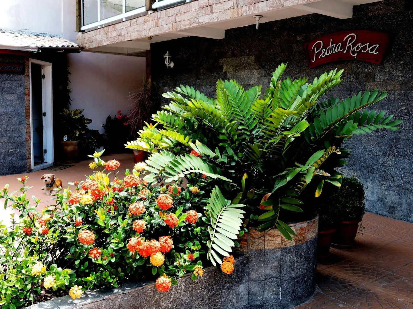 Foto - Pousada Pedra Rosa