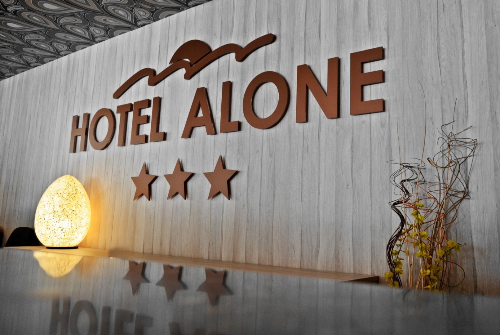 Foto - Hotel Alone