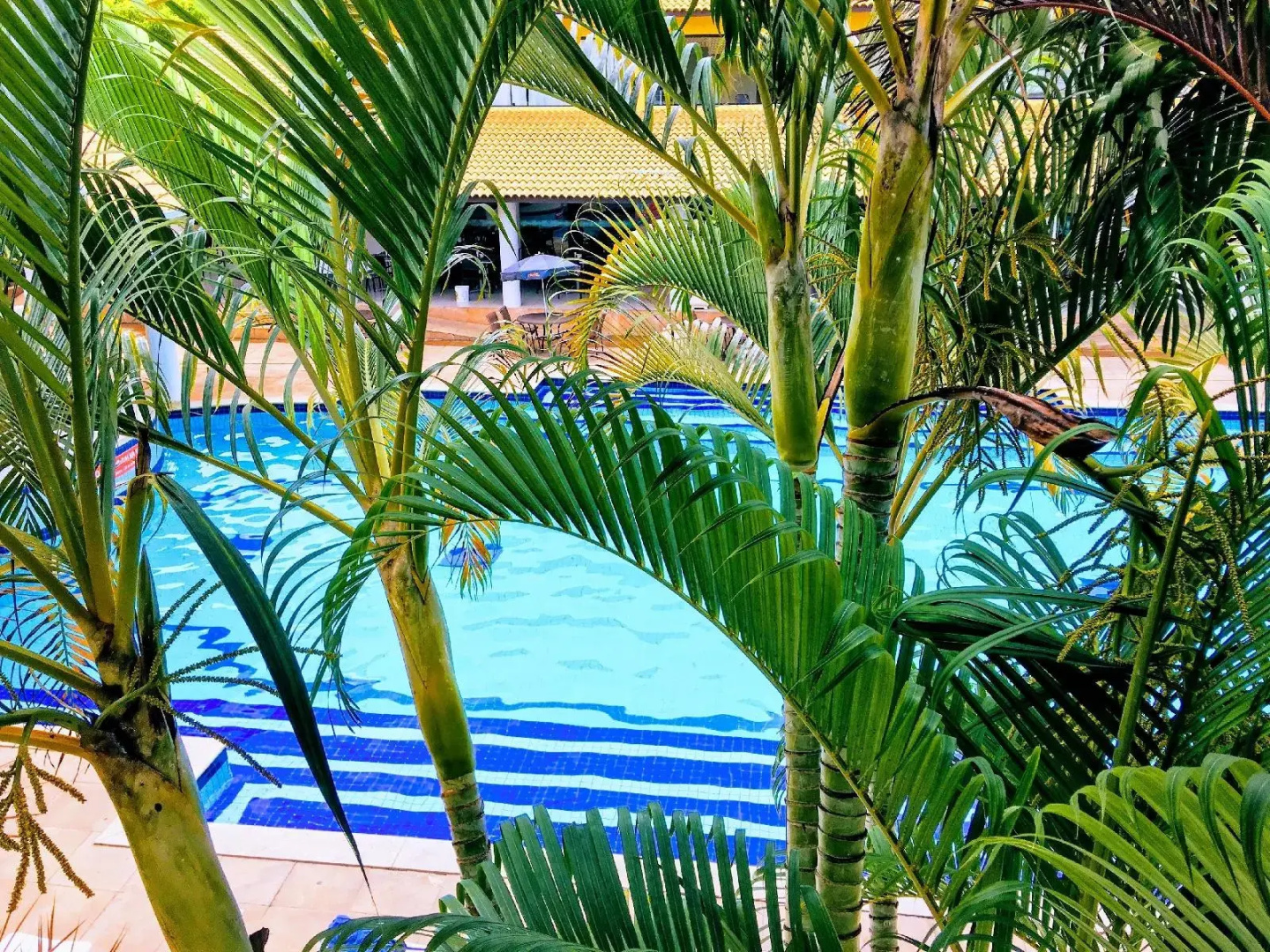 Foto - Transoceânico Praia Hotel