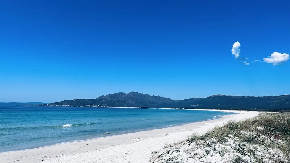 Foto - Lar de Canedo