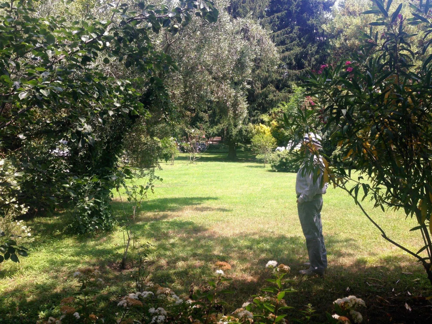 Photo - Villa Abbamer