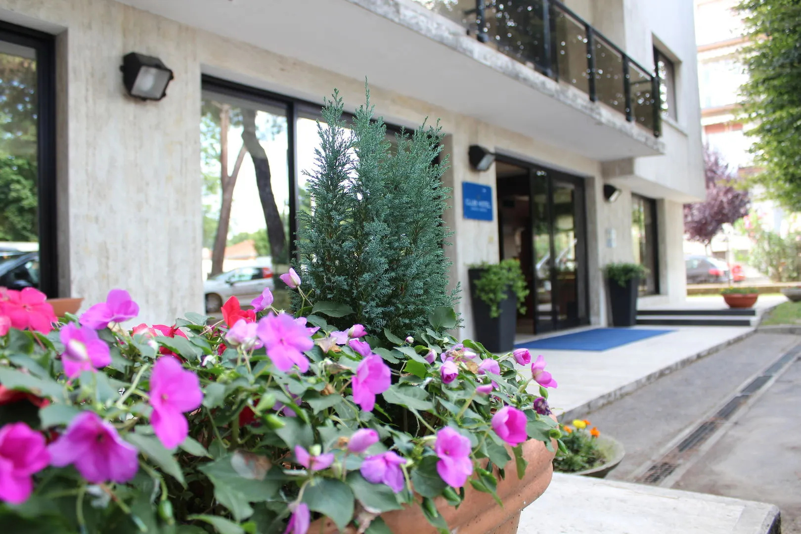 Foto - Club Hotel