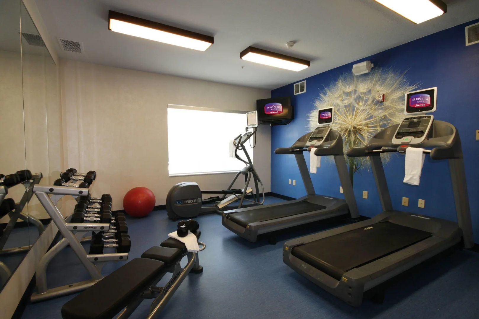 Photo - SpringHill Suites by Marriott Phoenix Chandler/Fashion Center