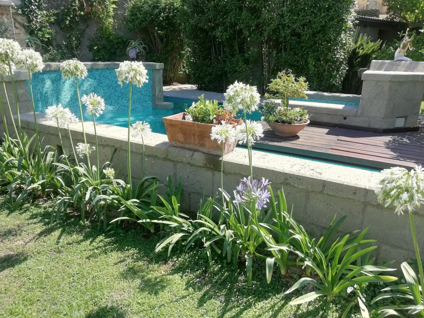 Photo - Villa Manning Relais
