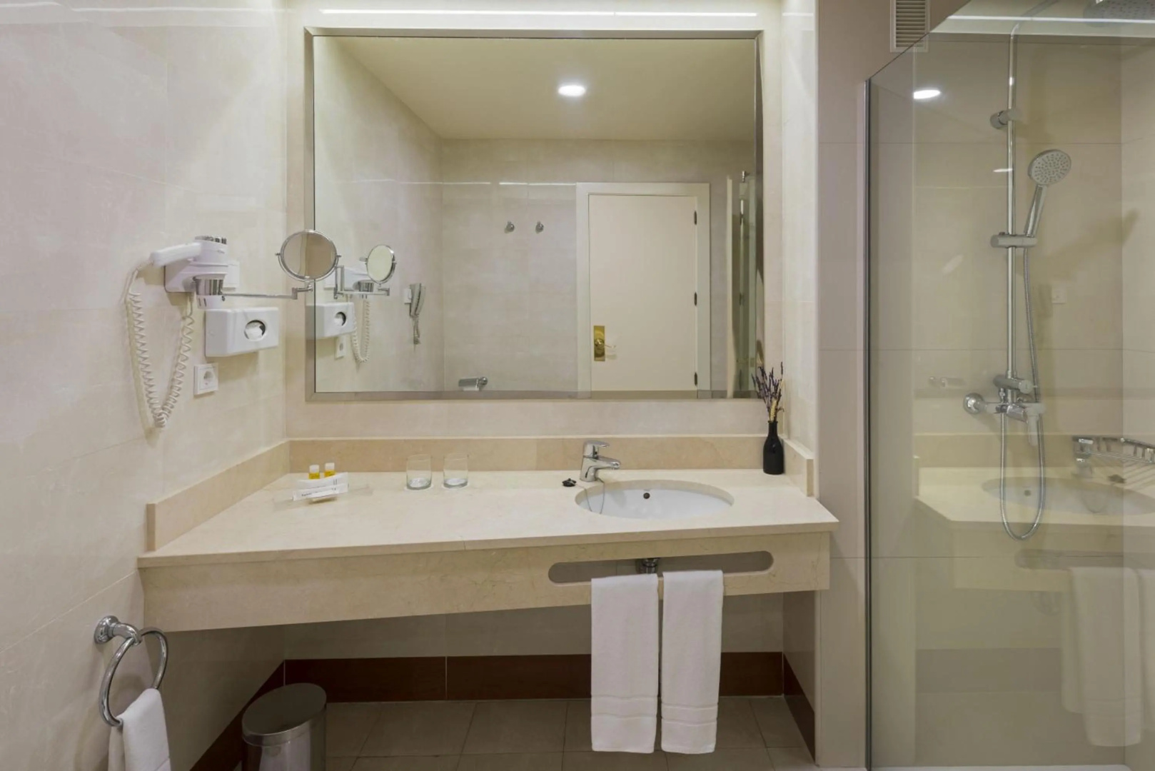 Foto - Hotel Elba Madrid Alcalá