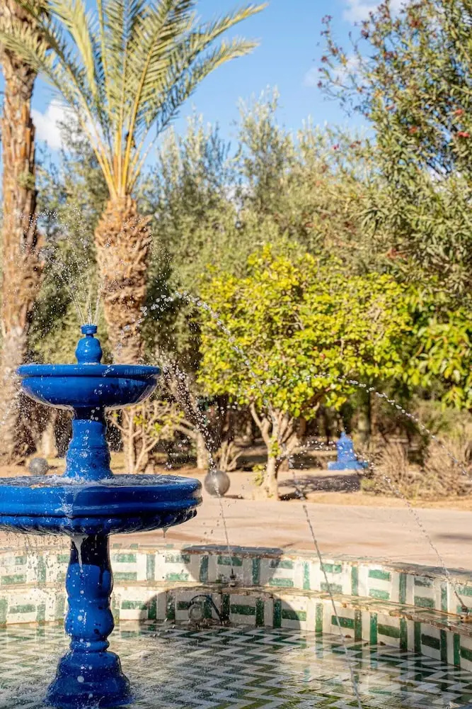 Photo - Las Palmeras Guest House