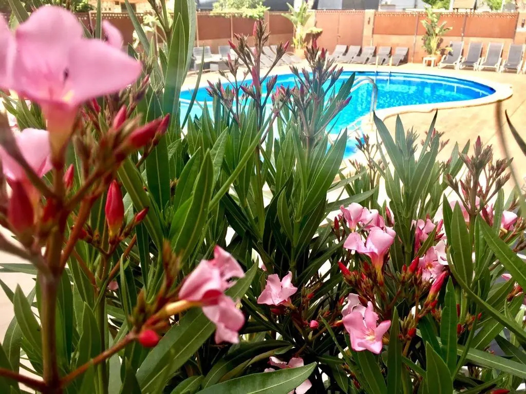 Photo - Hotel Stella Maris
